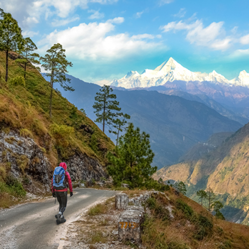 Binsar Tour Package from Delhi