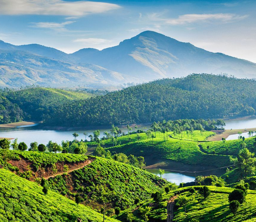 Munnar Tour Package from Delhi