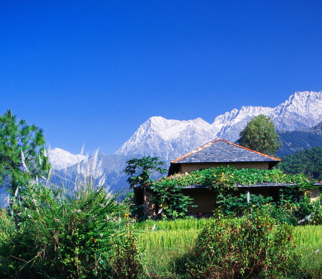 Palampur Tour Package from Delhi